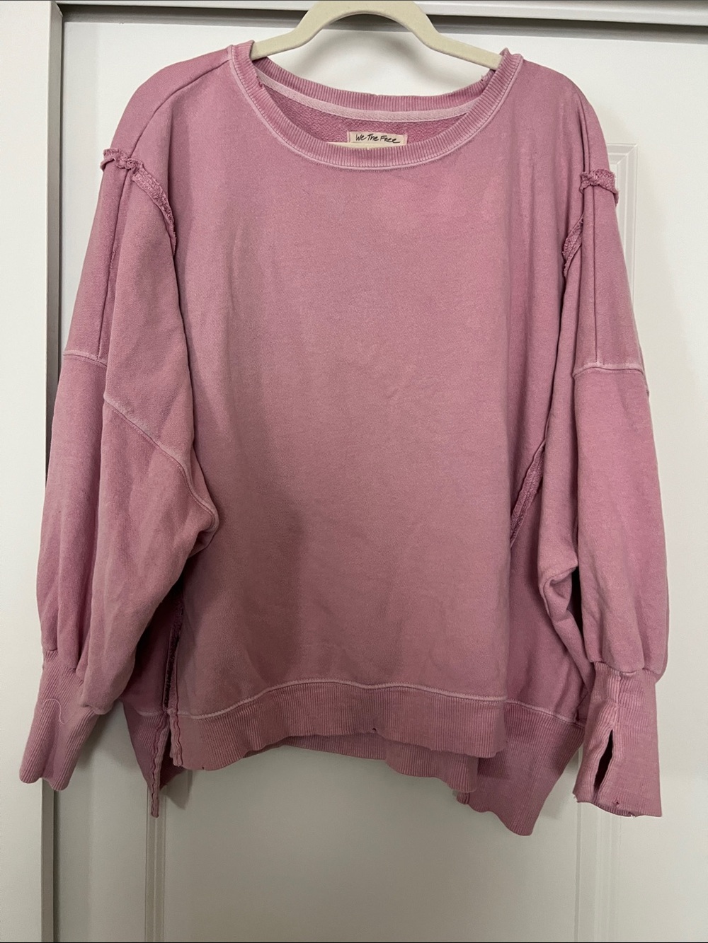 We The Free Vintage Rose Oversized Camden Sweatshirt